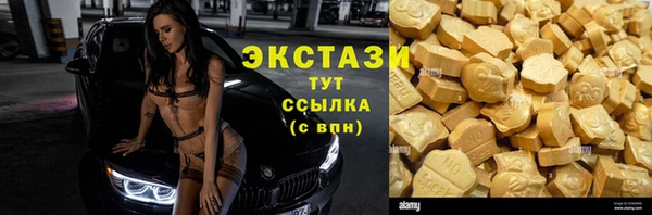 ECSTASY Белокуриха