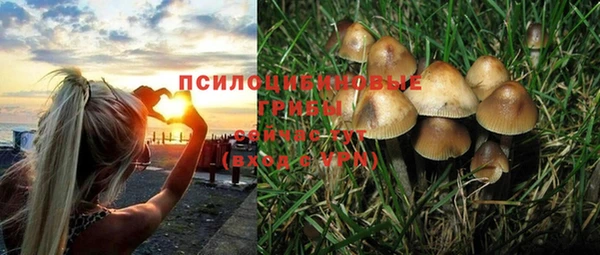 прущая мука Белоозёрский