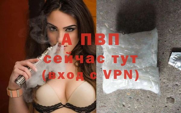 ECSTASY Белокуриха