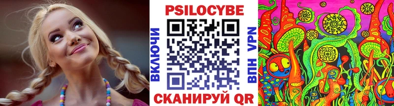 Псилоцибиновые грибы Psilocybine cubensis  Севск 